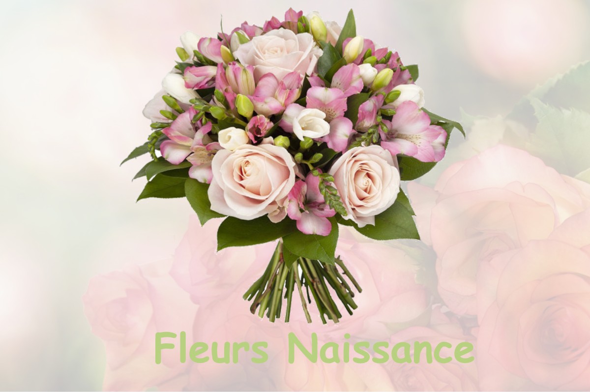 fleurs naissance CLUSSAIS-LA-POMMERAIE