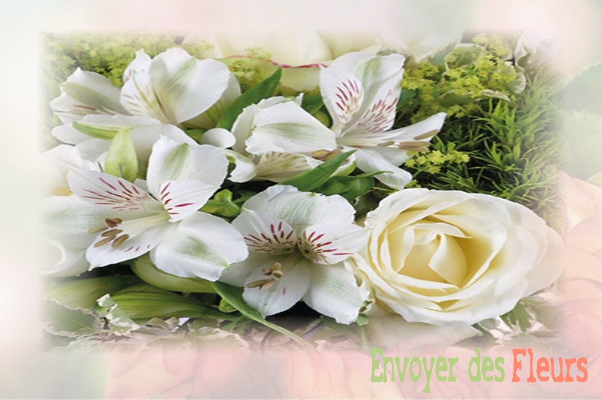 envoyer des fleurs à à CLUSSAIS-LA-POMMERAIE